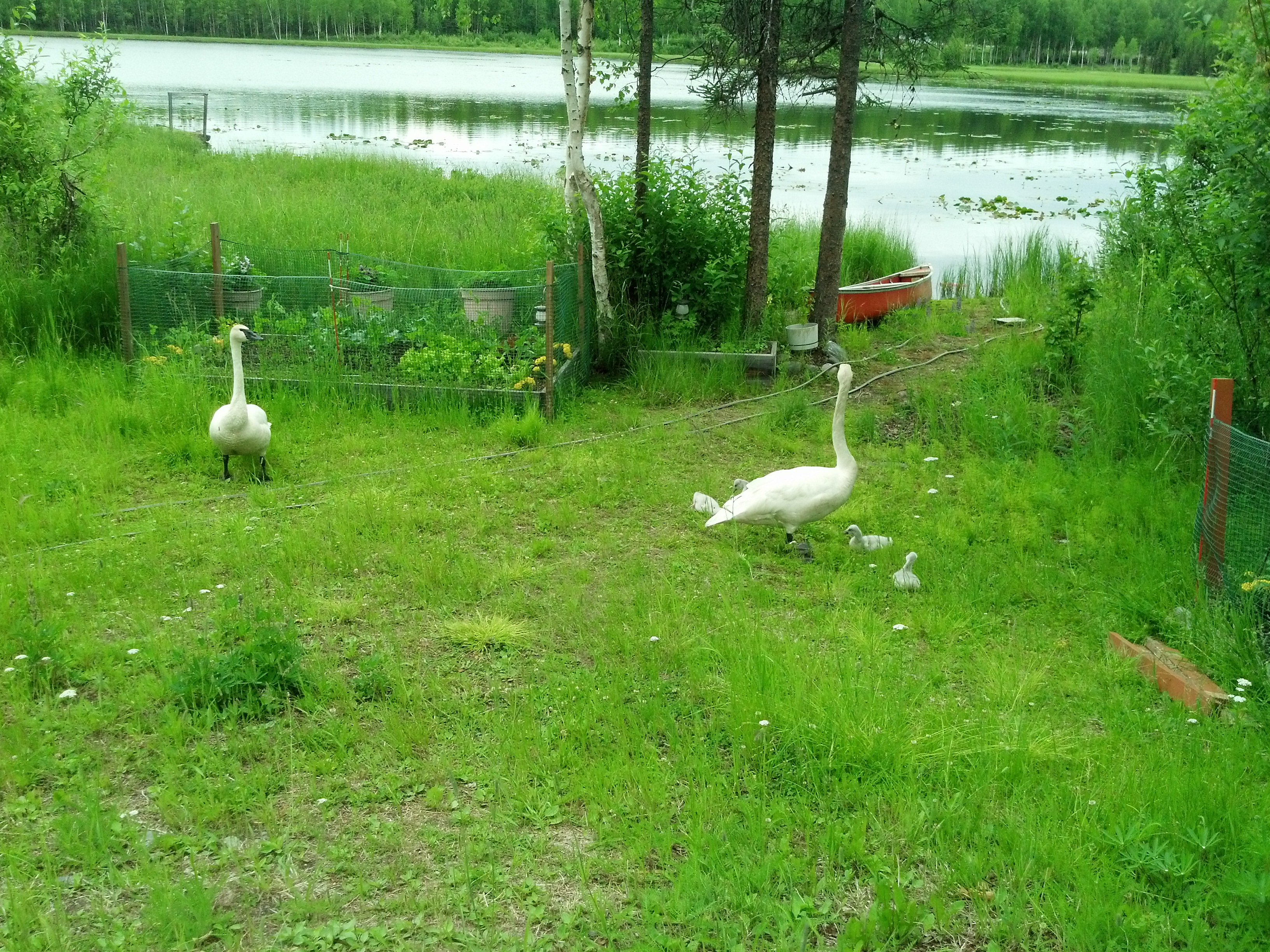 2013-07-06_10-37-14_726